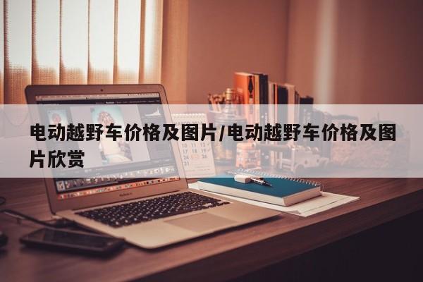 电动越野车价格及图片／电动越野车价格及图片欣赏
