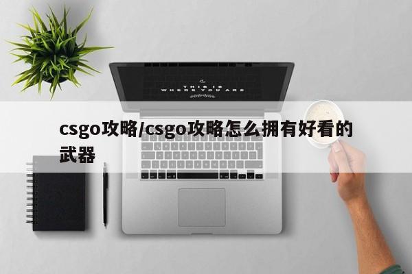 csgo攻略／csgo攻略怎么拥有好看的武器