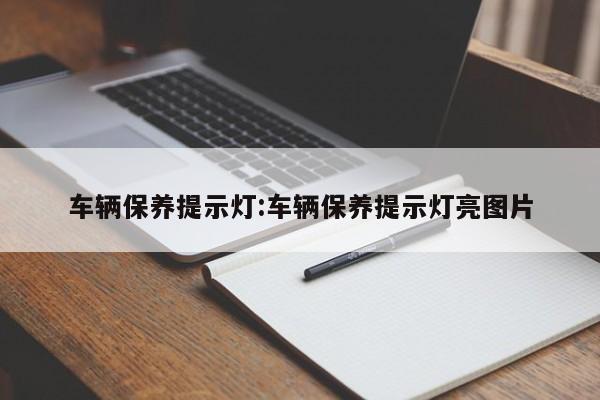 车辆保养提示灯：车辆保养提示灯亮图片