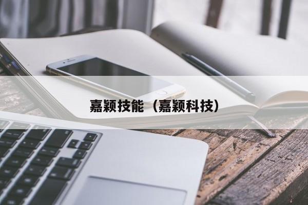 嘉颖技能（嘉颖科技）