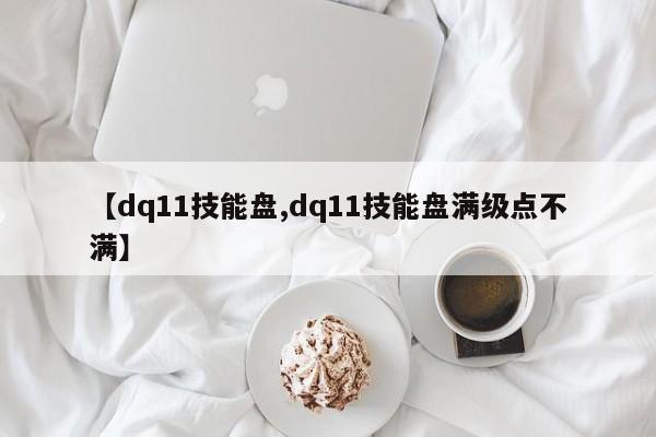 【dq11技能盘,dq11技能盘满级点不满】