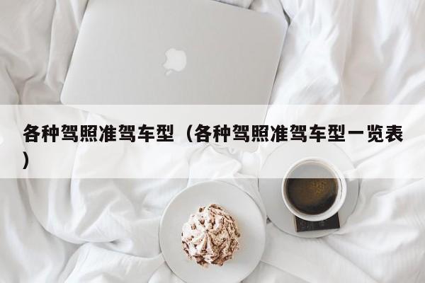 各种驾照准驾车型（各种驾照准驾车型一览表）