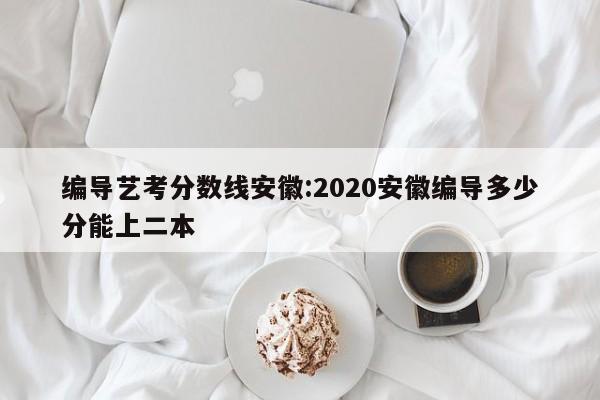 编导艺考分数线安徽：2020安徽编导多少分能上二本