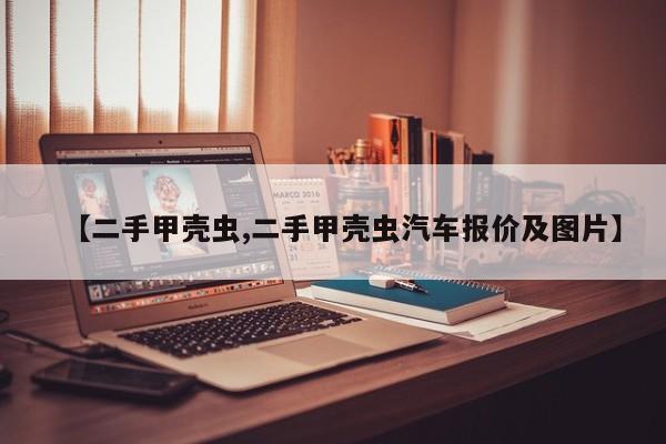 【二手甲壳虫,二手甲壳虫汽车报价及图片】
